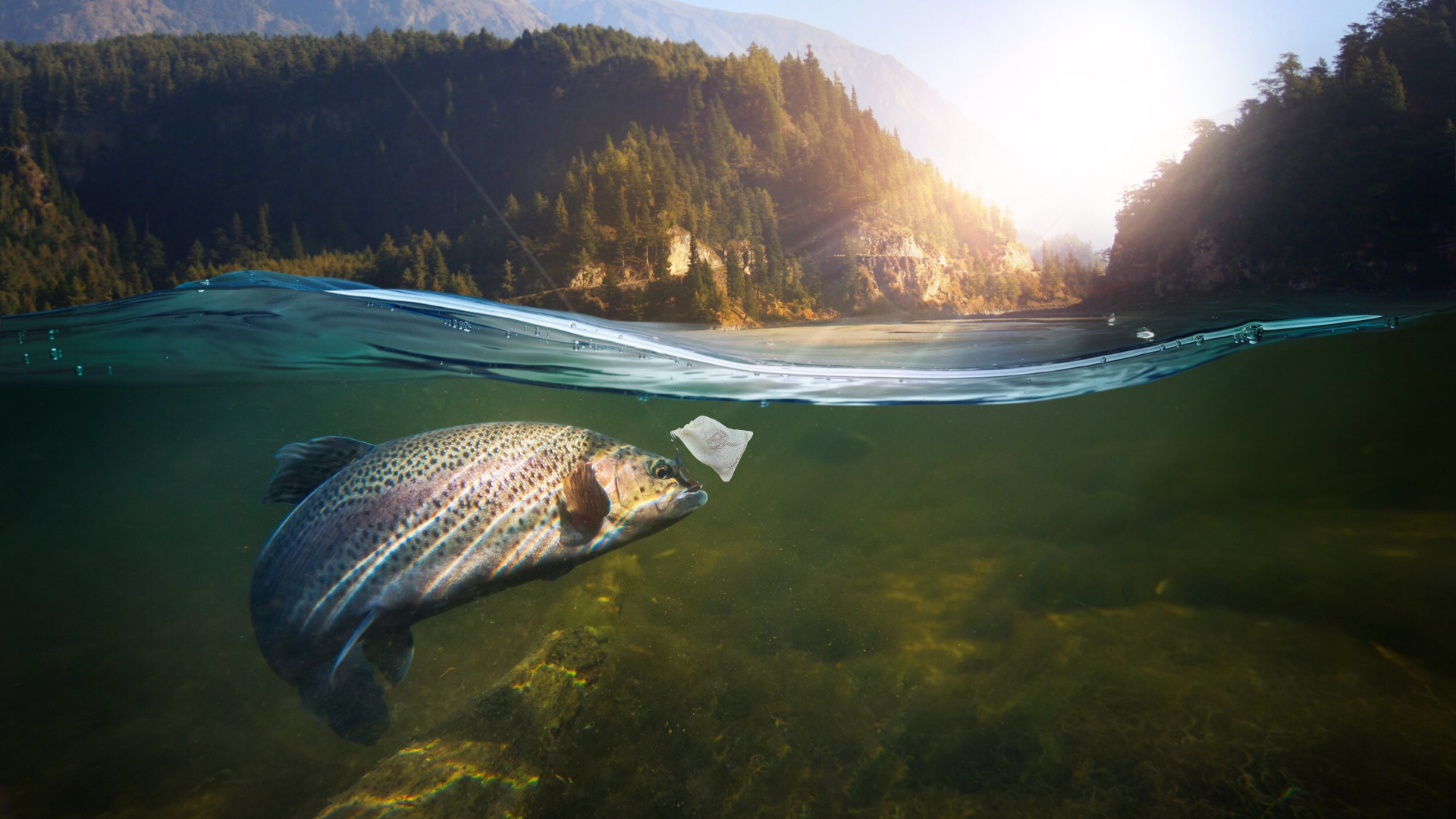Biodegradable fishing sinkers